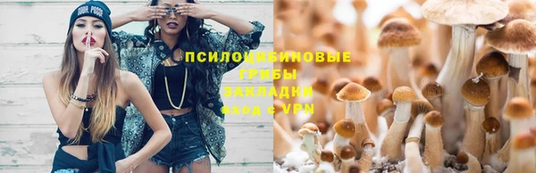 сатива Алзамай