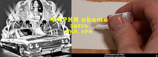 сатива Алзамай