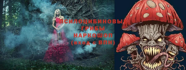 Альфа ПВП Алексин