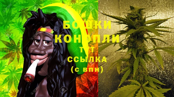 гидропоника Абаза