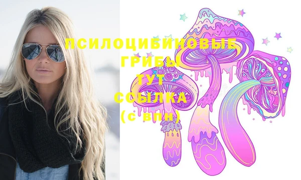 гидропоника Абаза